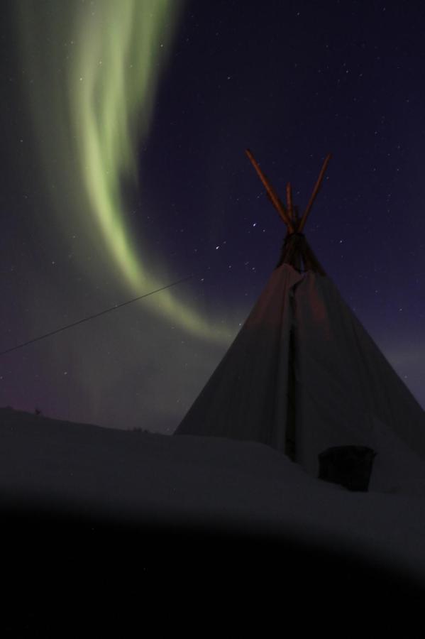 Lofoten Camp Stamsund Eksteriør billede